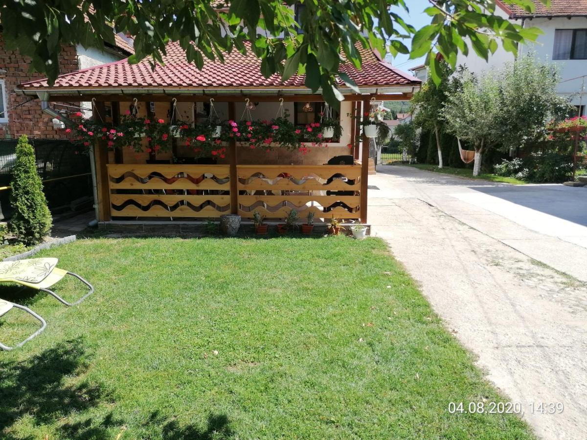 Pensiunea Ioana Curtea de Argeş エクステリア 写真